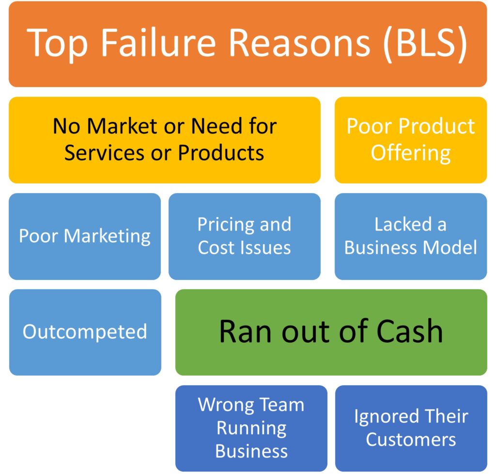 Biz Failure Reasons